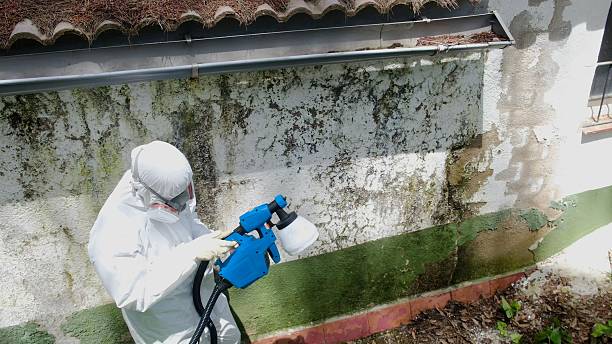 Top rated local Crawl Space Mold Remediation specialists in Fort Knox, KY